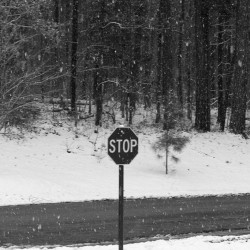 Winter Stop Sign